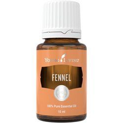 Ефірна олія Фенхель (Fennel) 33275 фото