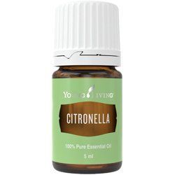 Ефірна олія Цитронела (Citronella) 32159 фото