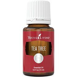 Ефірна олія Чайне дерево (Tea Tree) 32052 фото