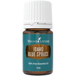 Эфирное масло Голубая ель из Айдахо (Idaho Blue Spruce) 33296 фото