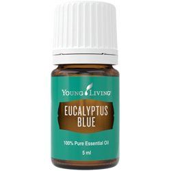 Ефірна олія Евкаліпт блакитний (Eucalyptus Blue) 33100 фото