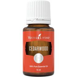 Эфирное масло Кедр (Cedarwood) 31998 фото